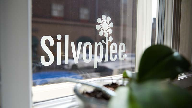 Silvoplee_logo_ikkunassa