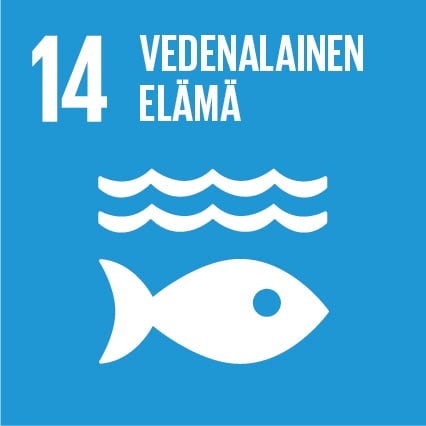 SDG 4